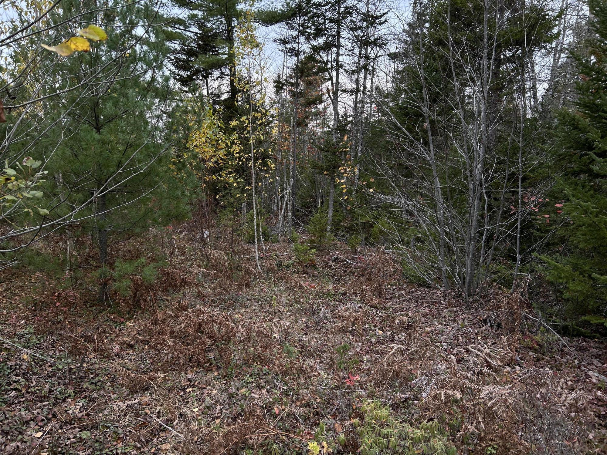 main property photo 30