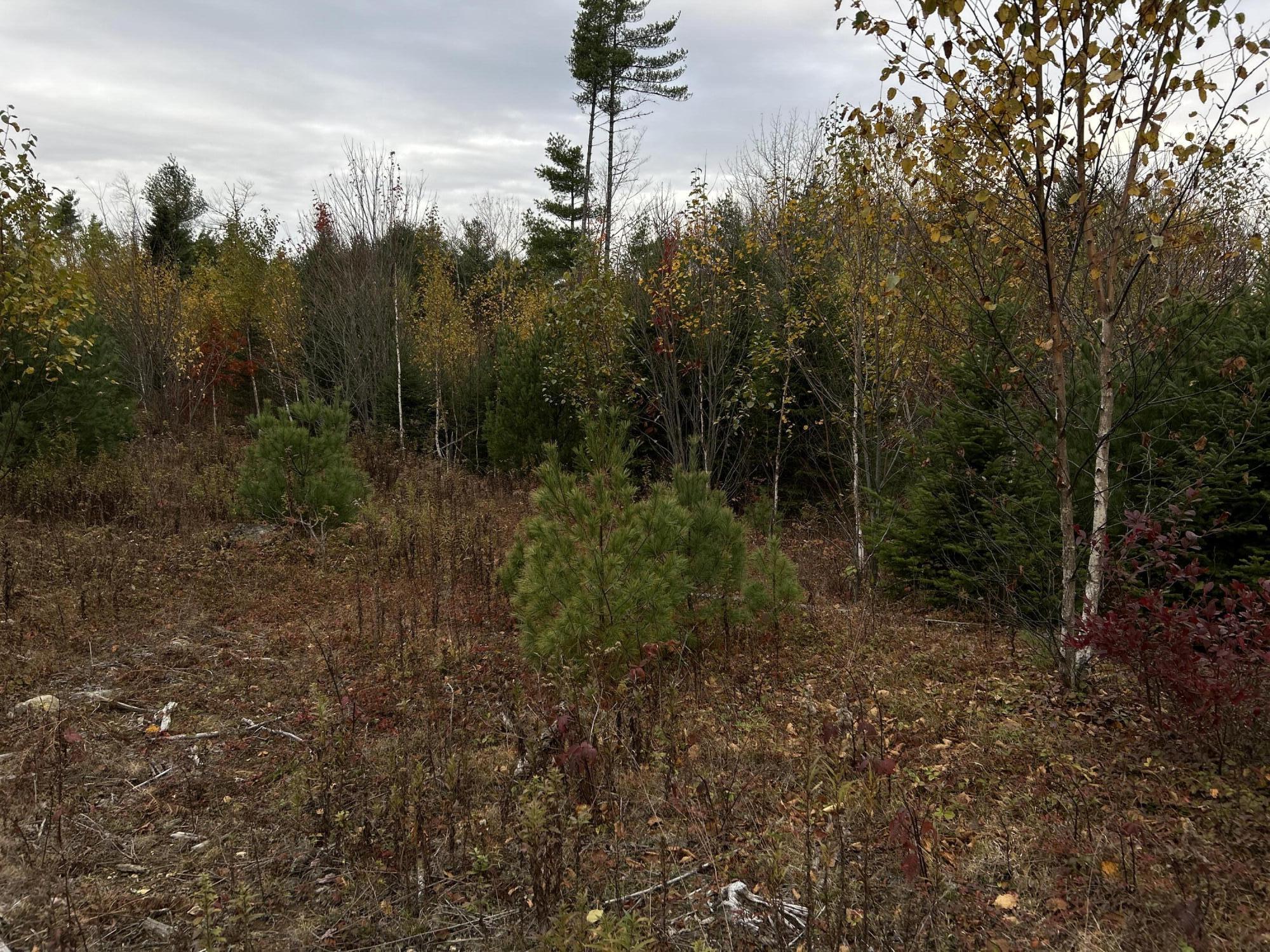 main property photo 34