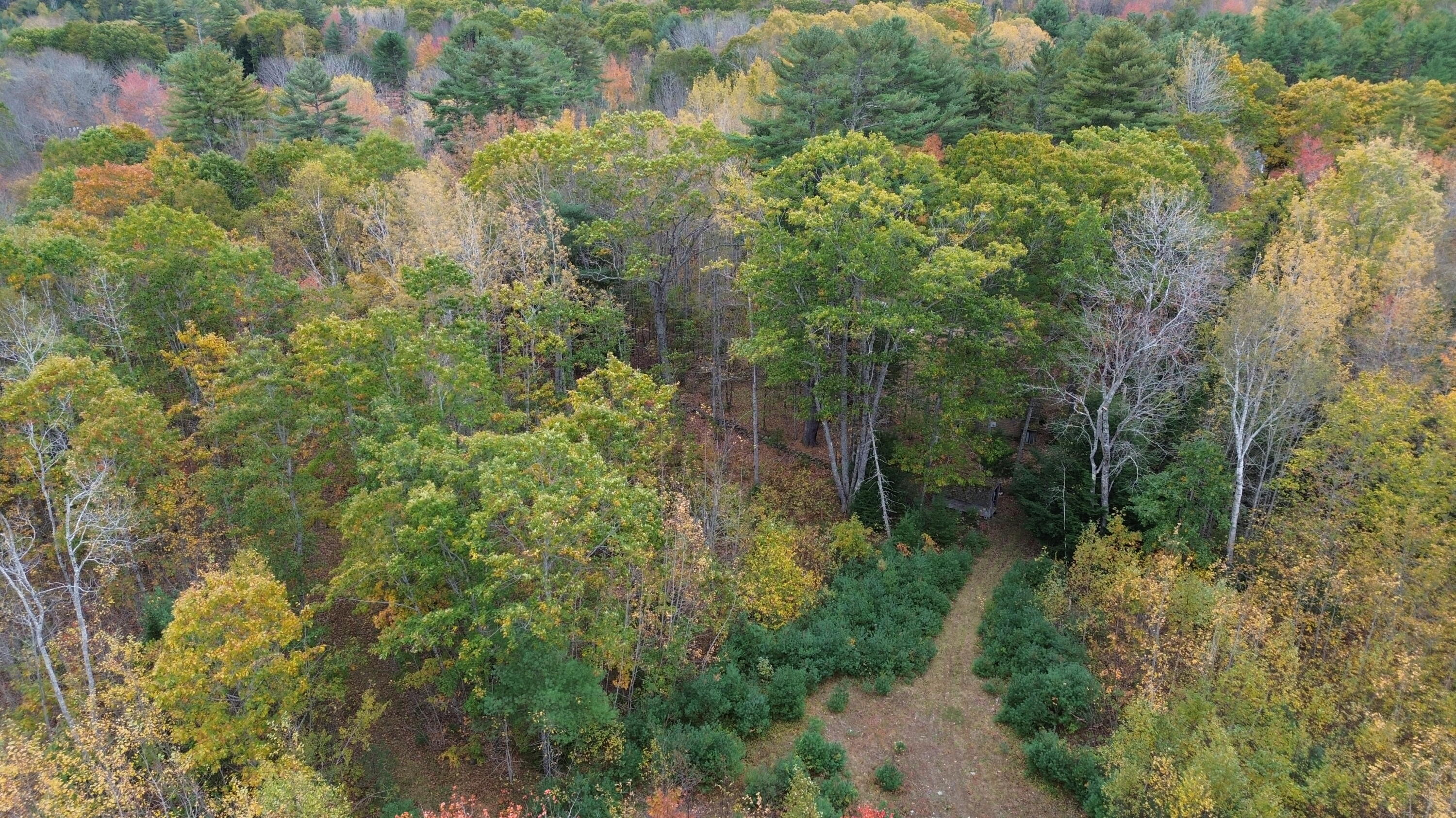 main property photo 41