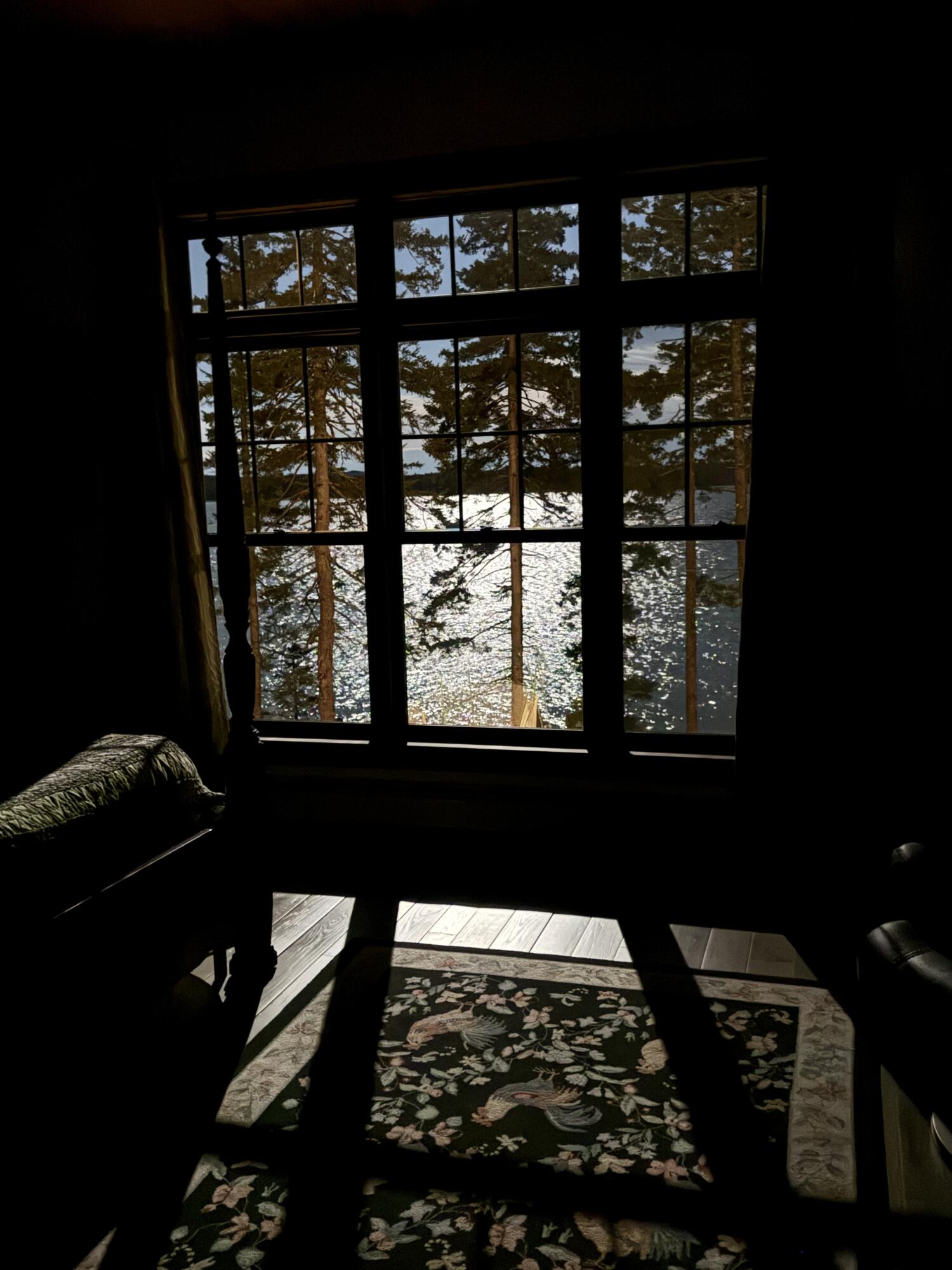 main property photo 55
