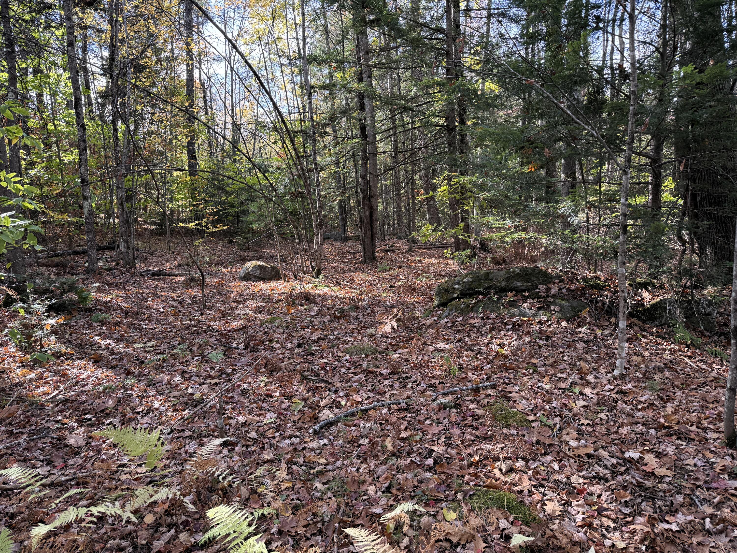 main property photo 0