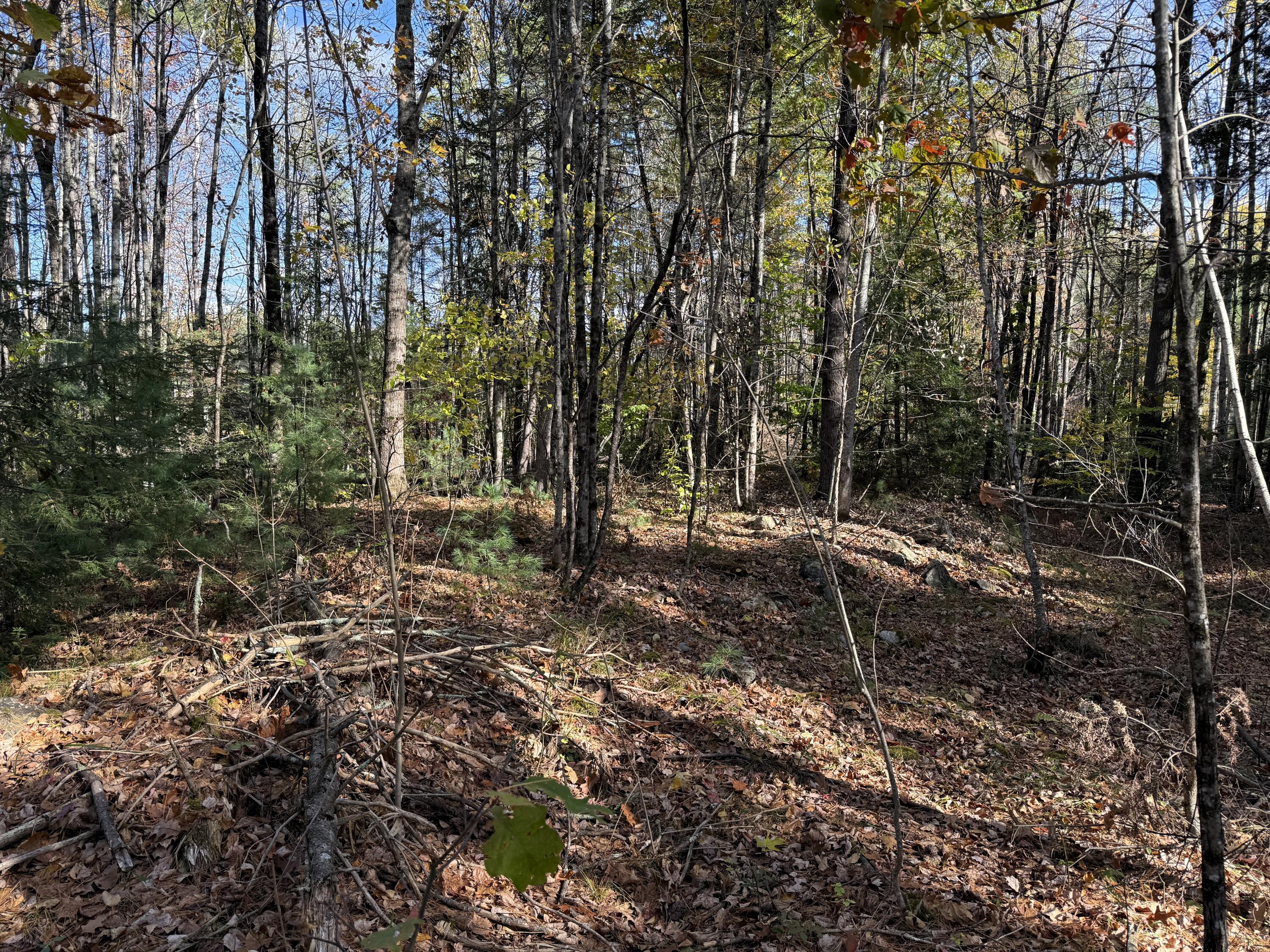 property viewer photo 1