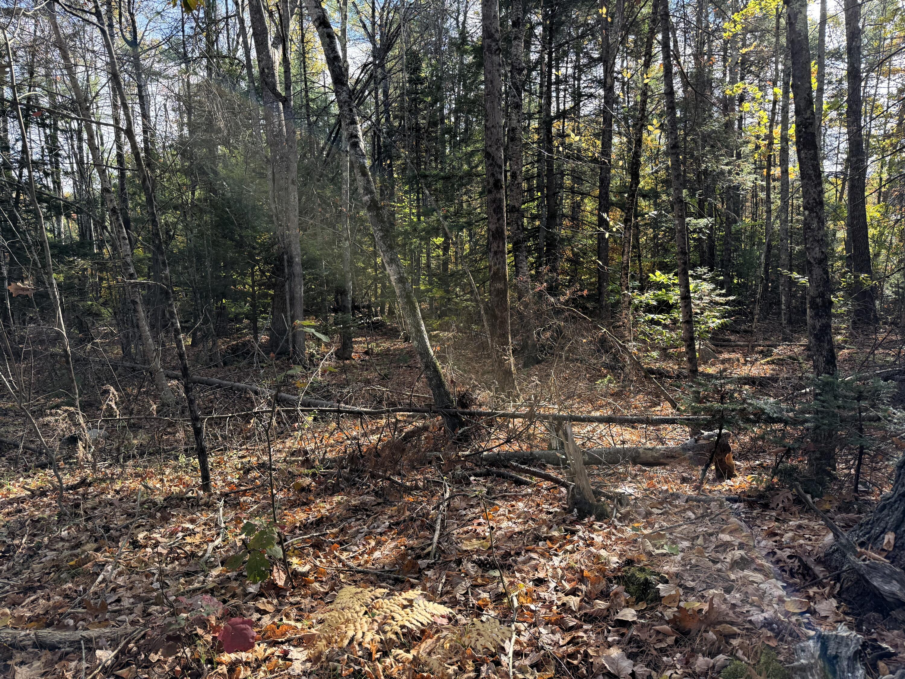 property viewer photo 2