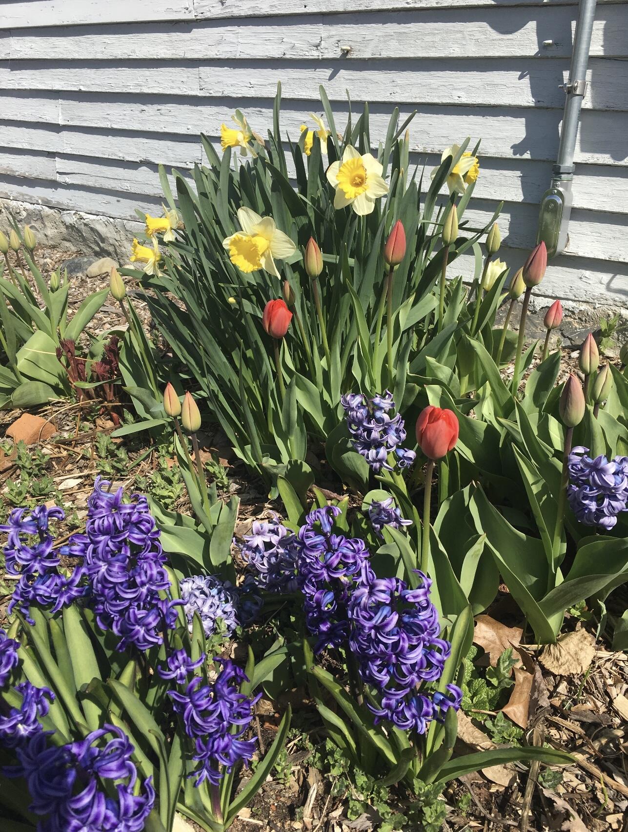 main property photo 71