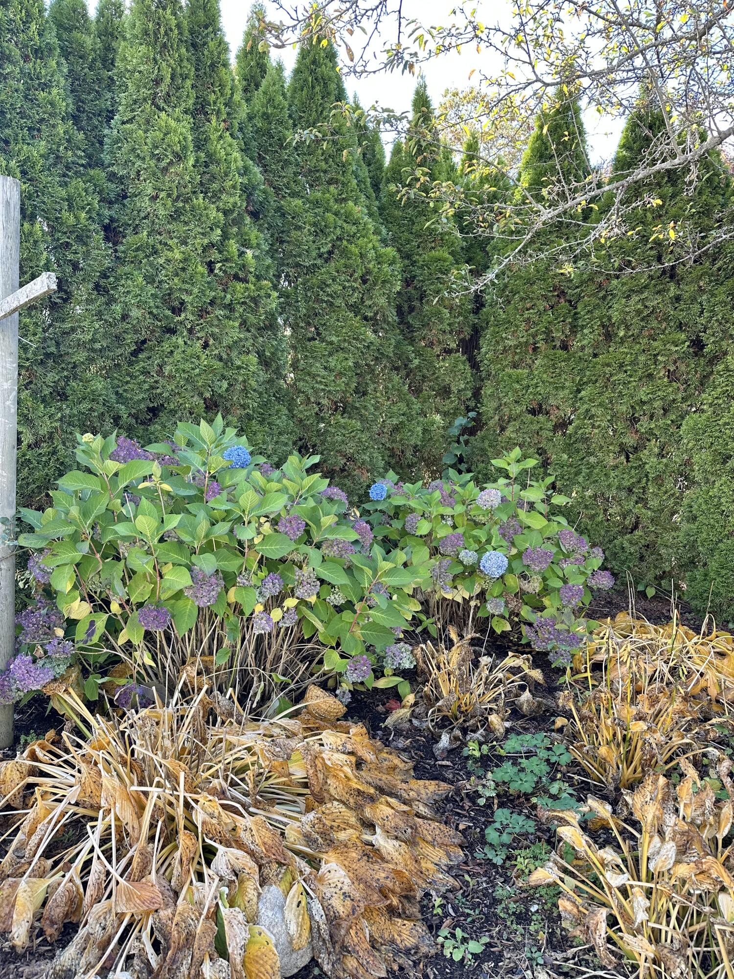 main property photo 75
