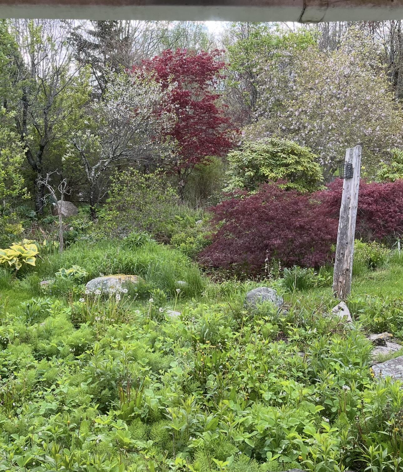 main property photo 79