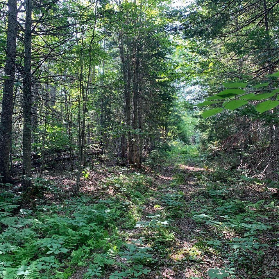 main property photo 92