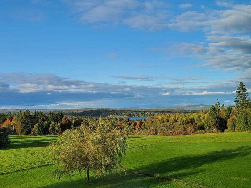 main property photo 96