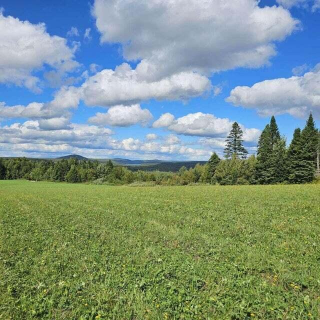 main property photo 97