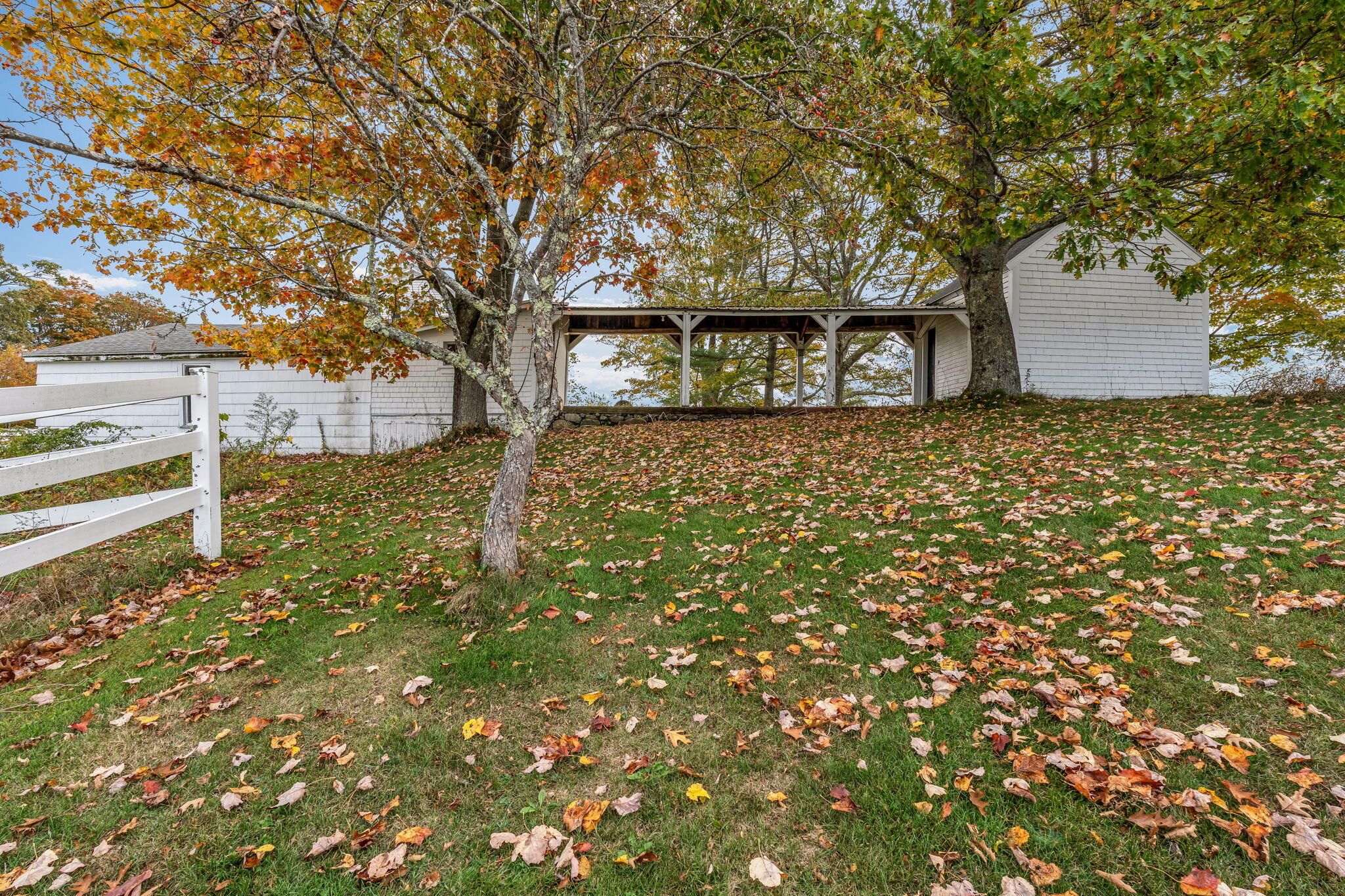 property viewer photo 3