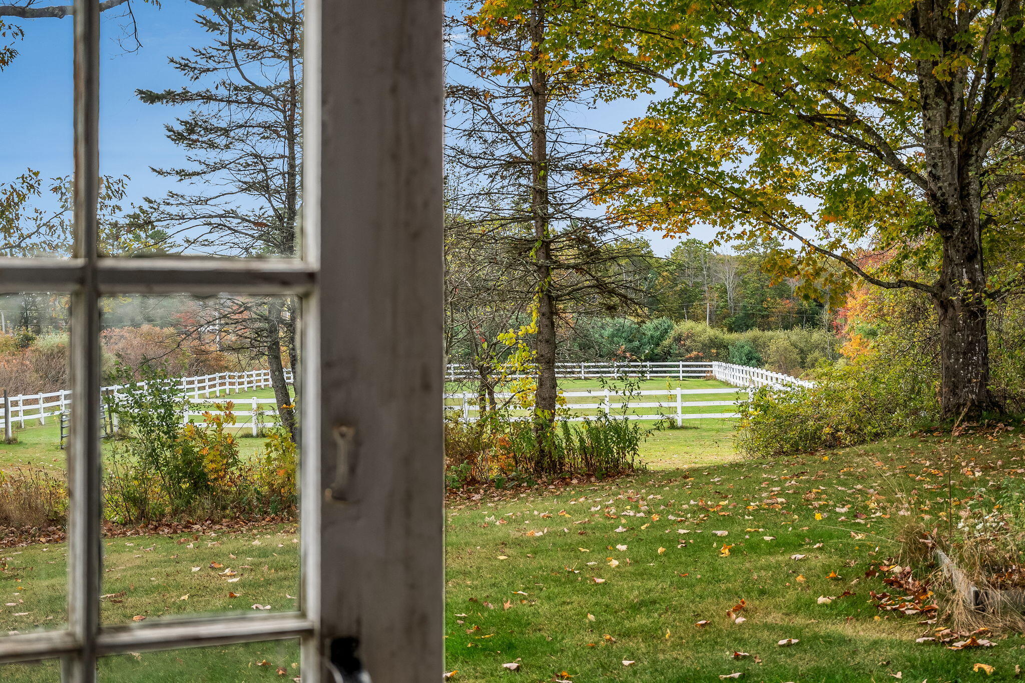 property viewer photo 66