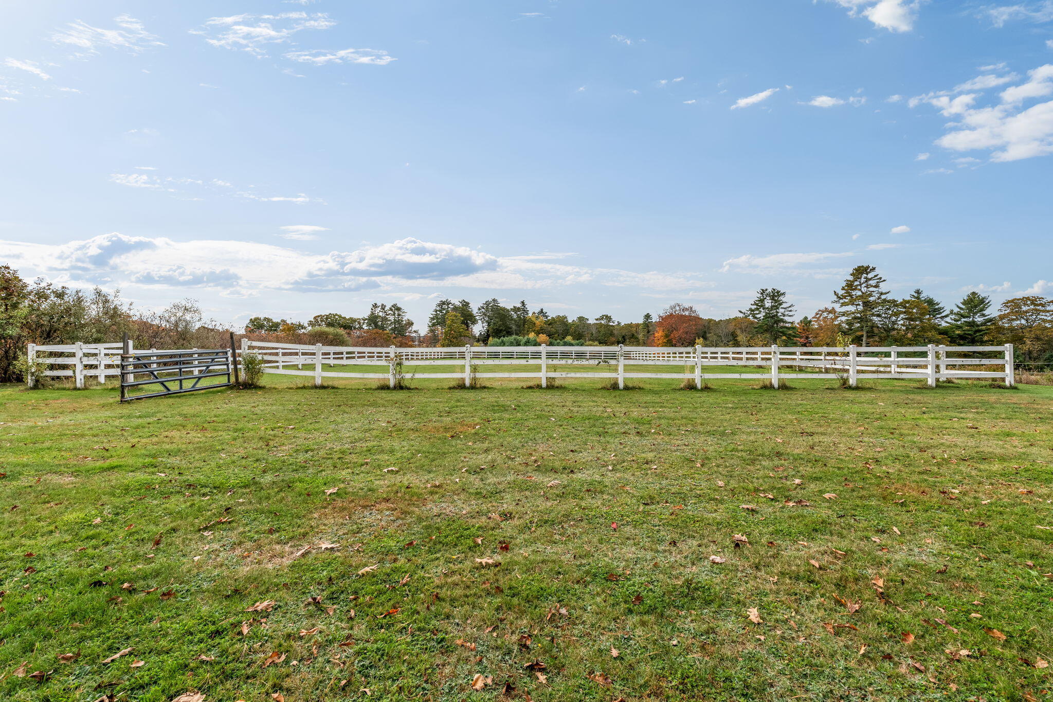 property viewer photo 83