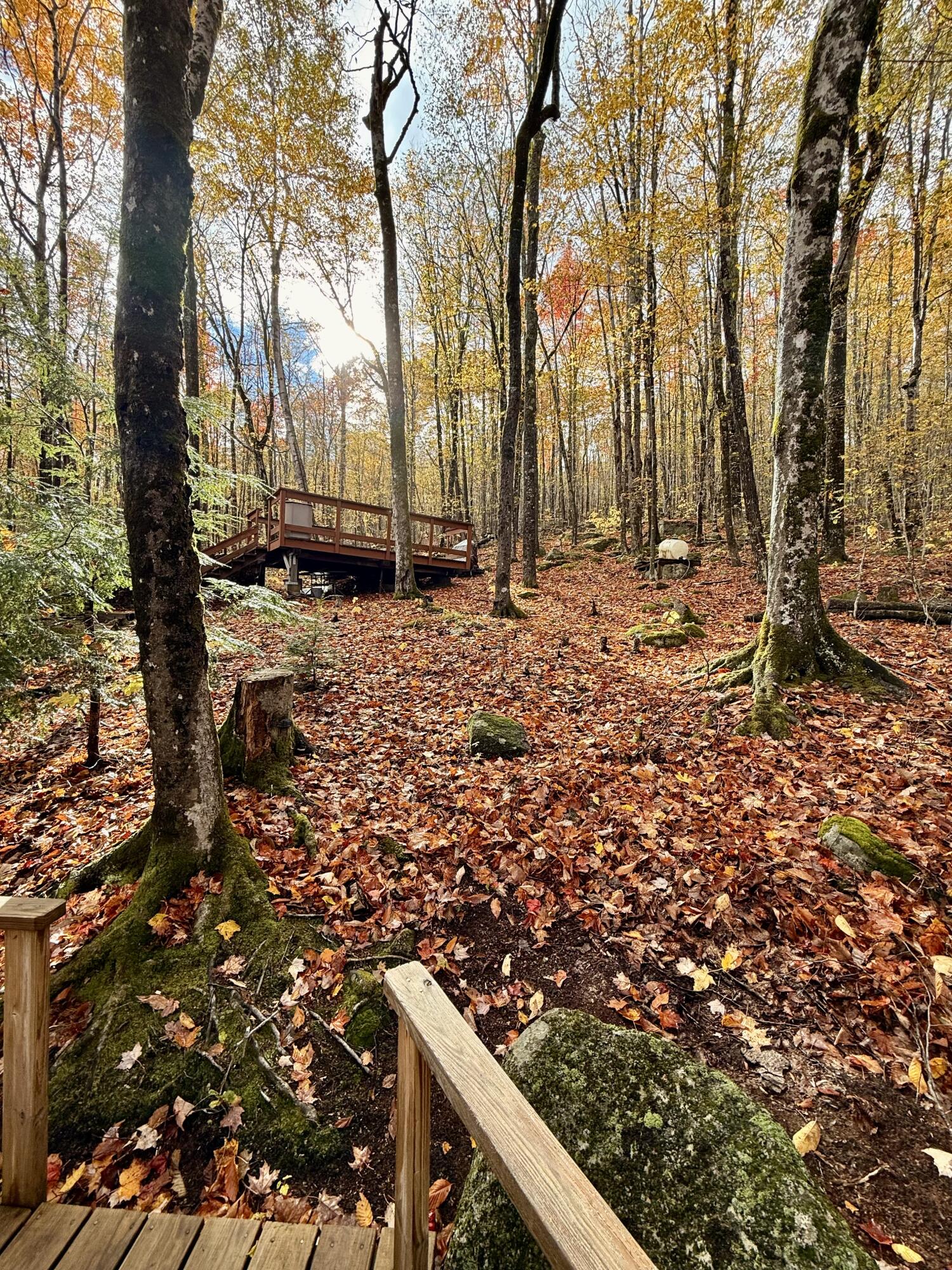property viewer photo 24