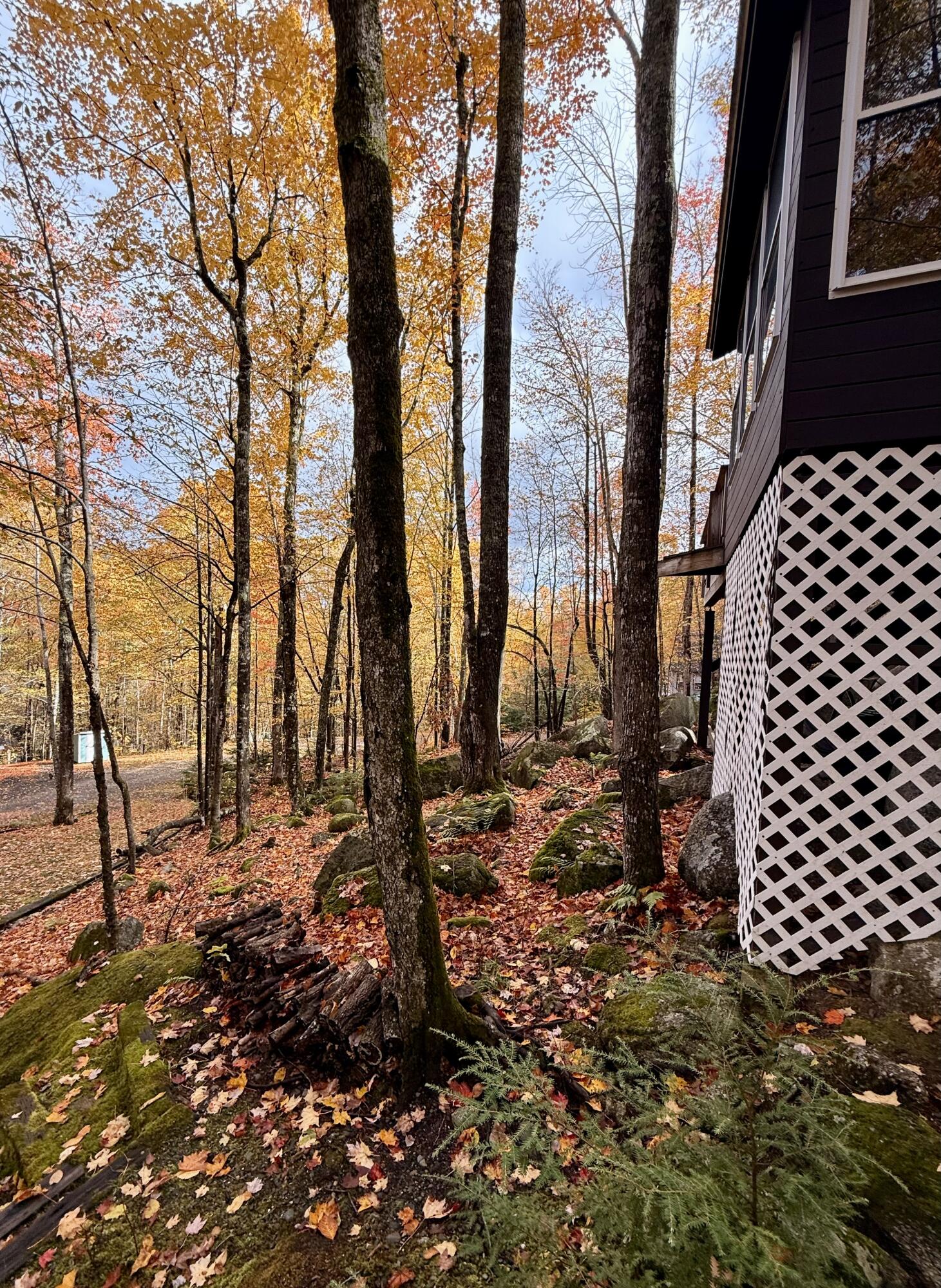 property viewer photo 27