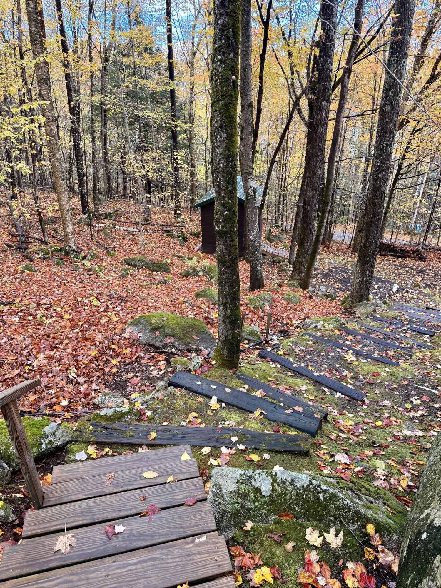 property viewer photo 3