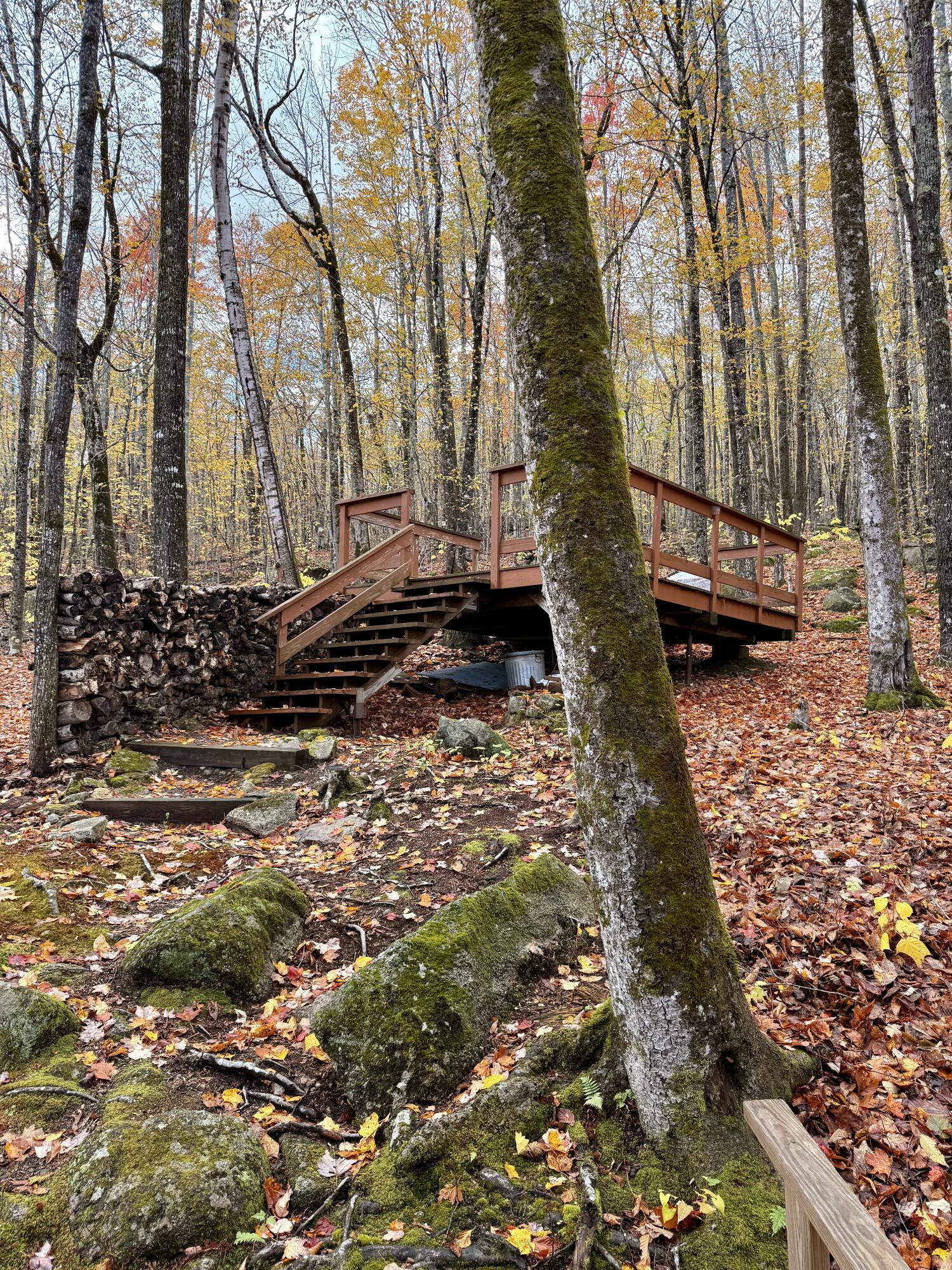 property viewer photo 4