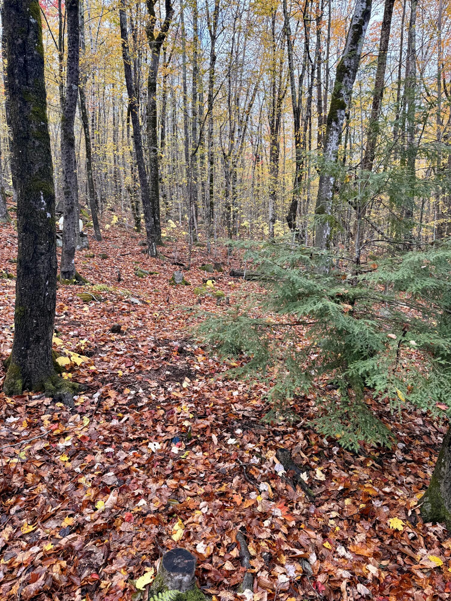 property viewer photo 5
