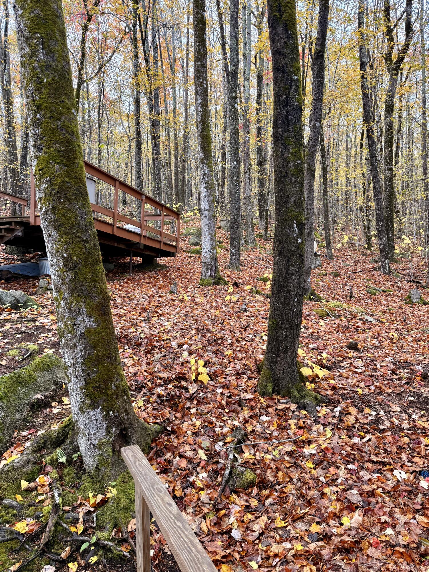 property viewer photo 6