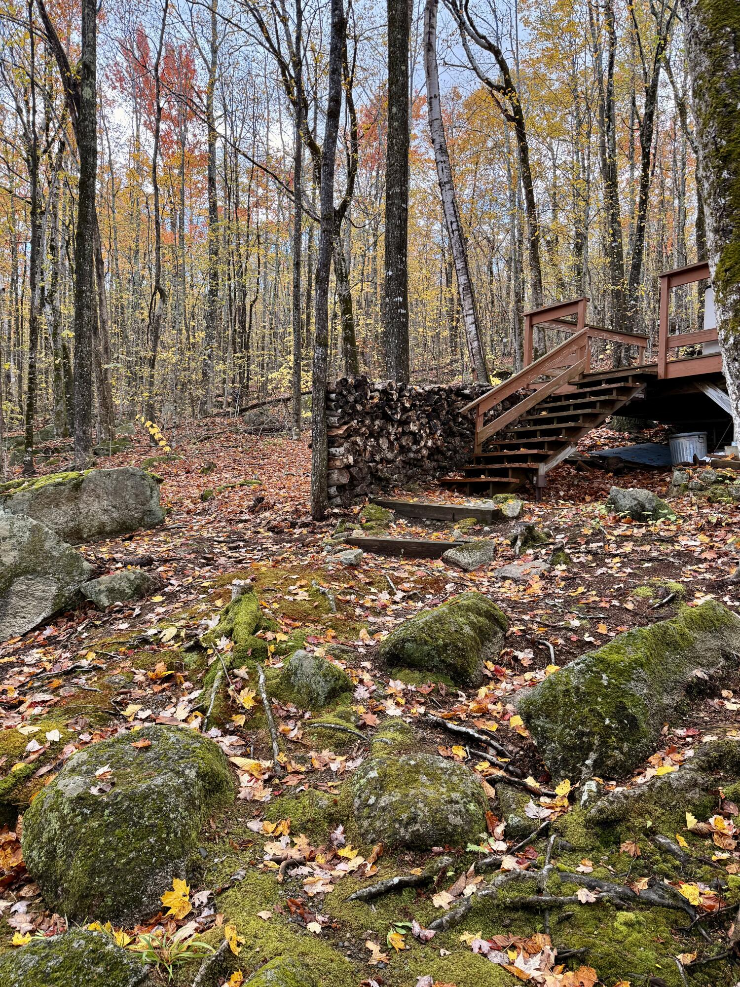 property viewer photo 7