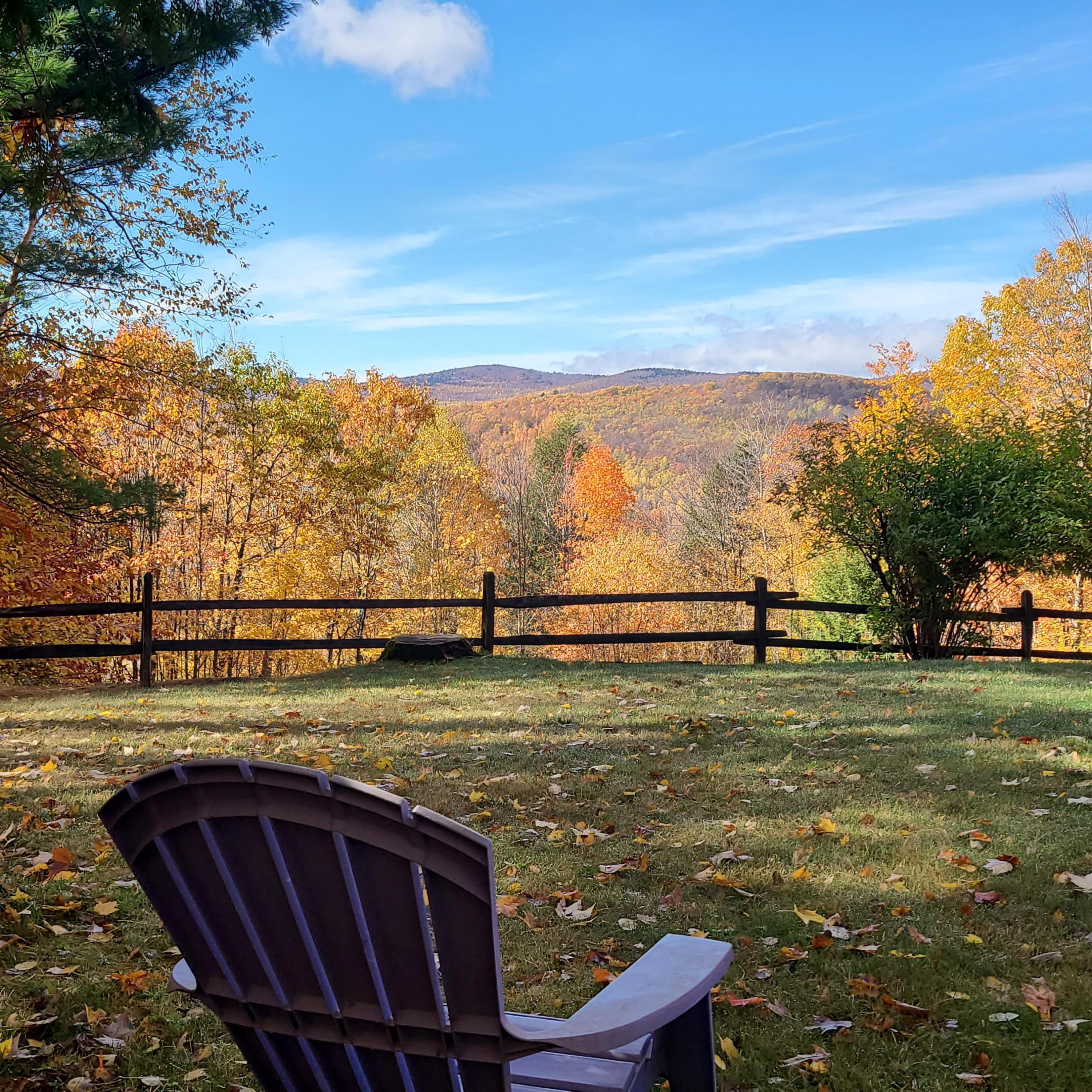 property viewer photo 1