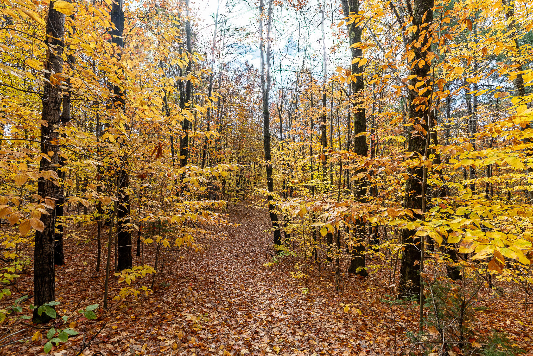 property viewer photo 40