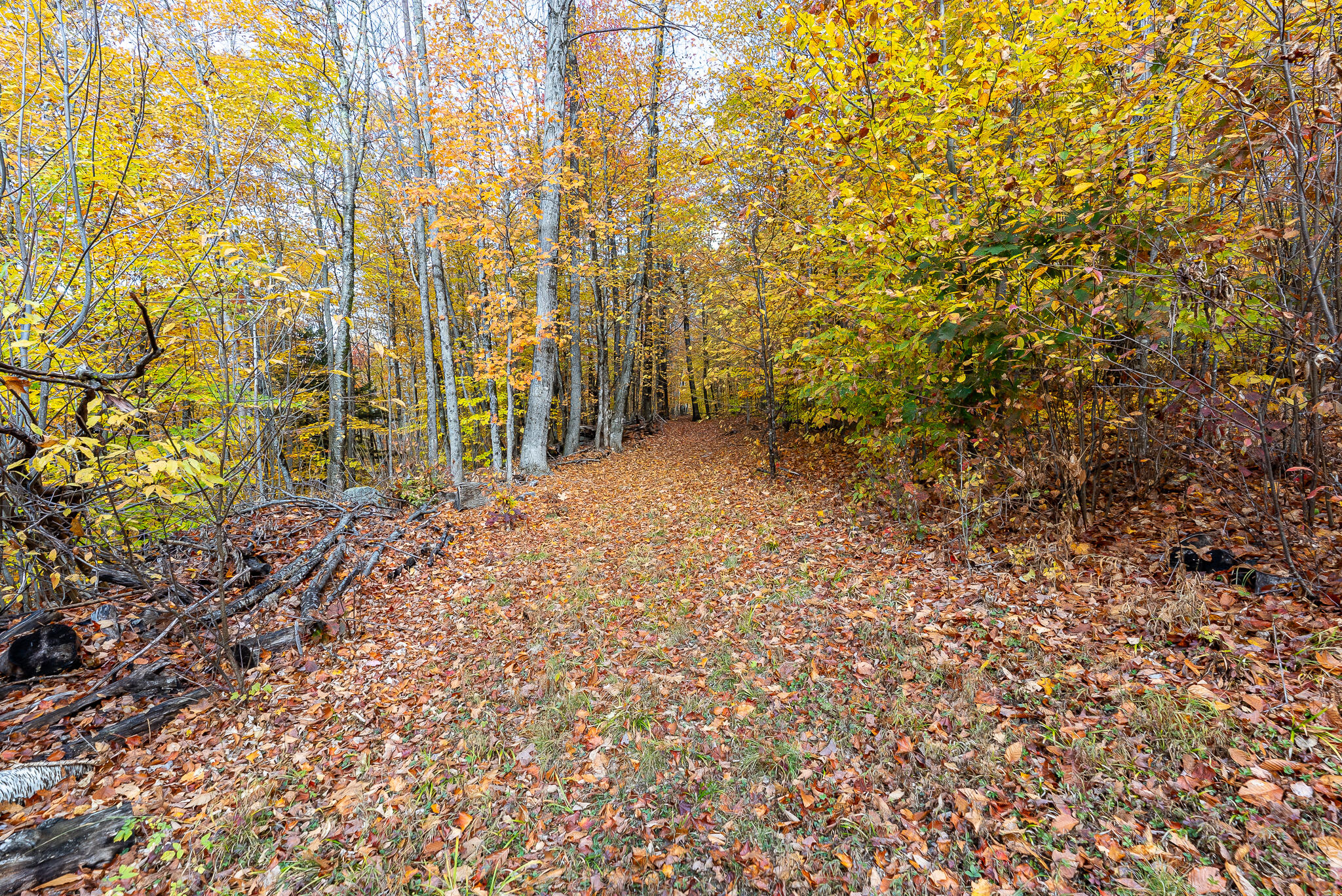 property viewer photo 41