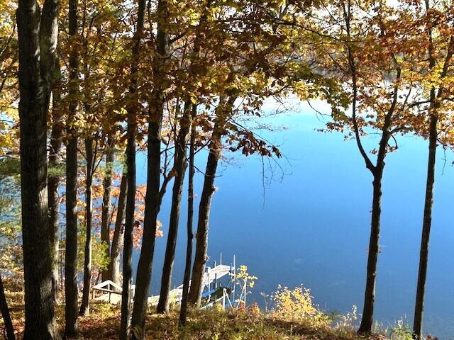 property viewer photo 31