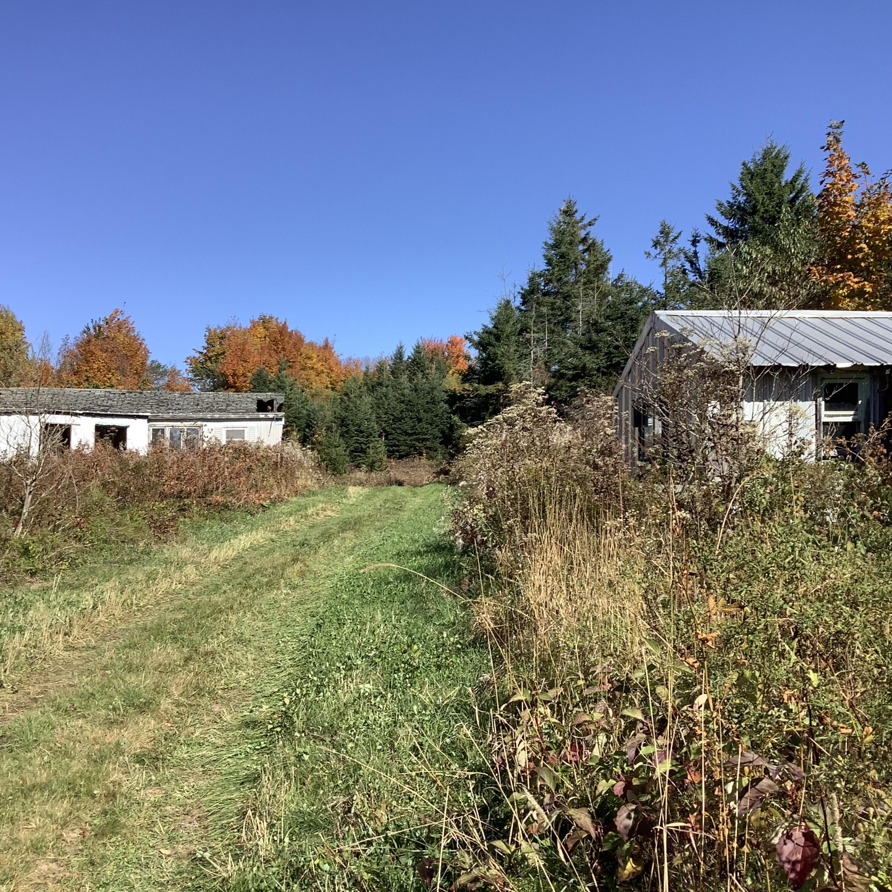 main property photo 14
