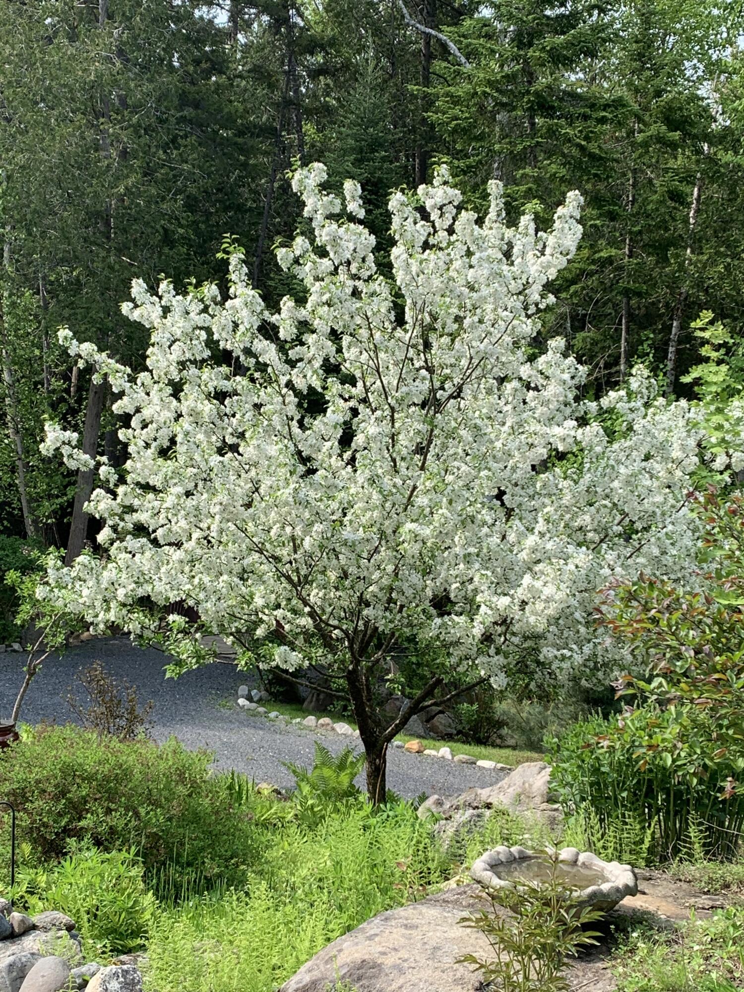main property photo 76