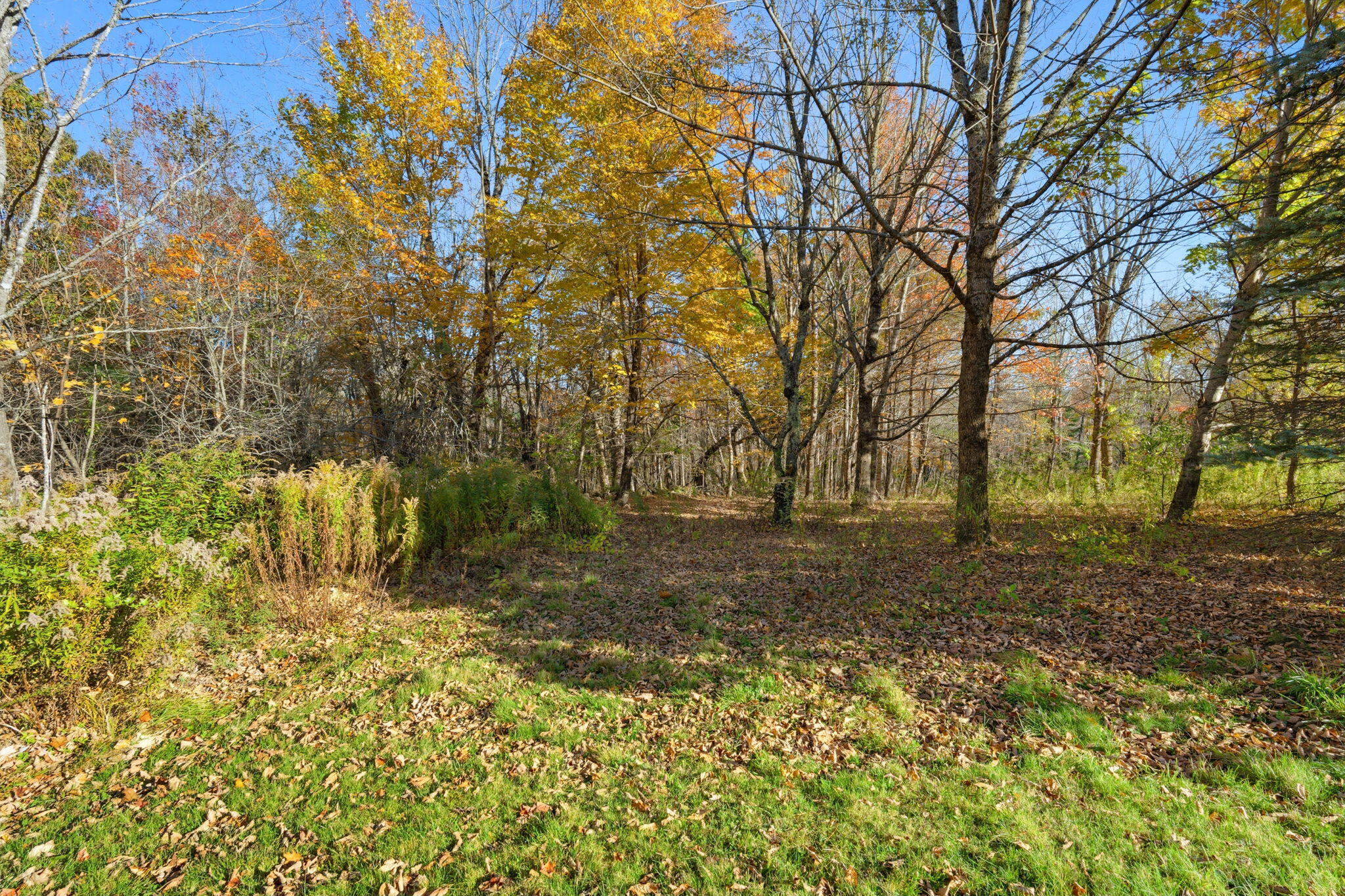 property viewer photo 30
