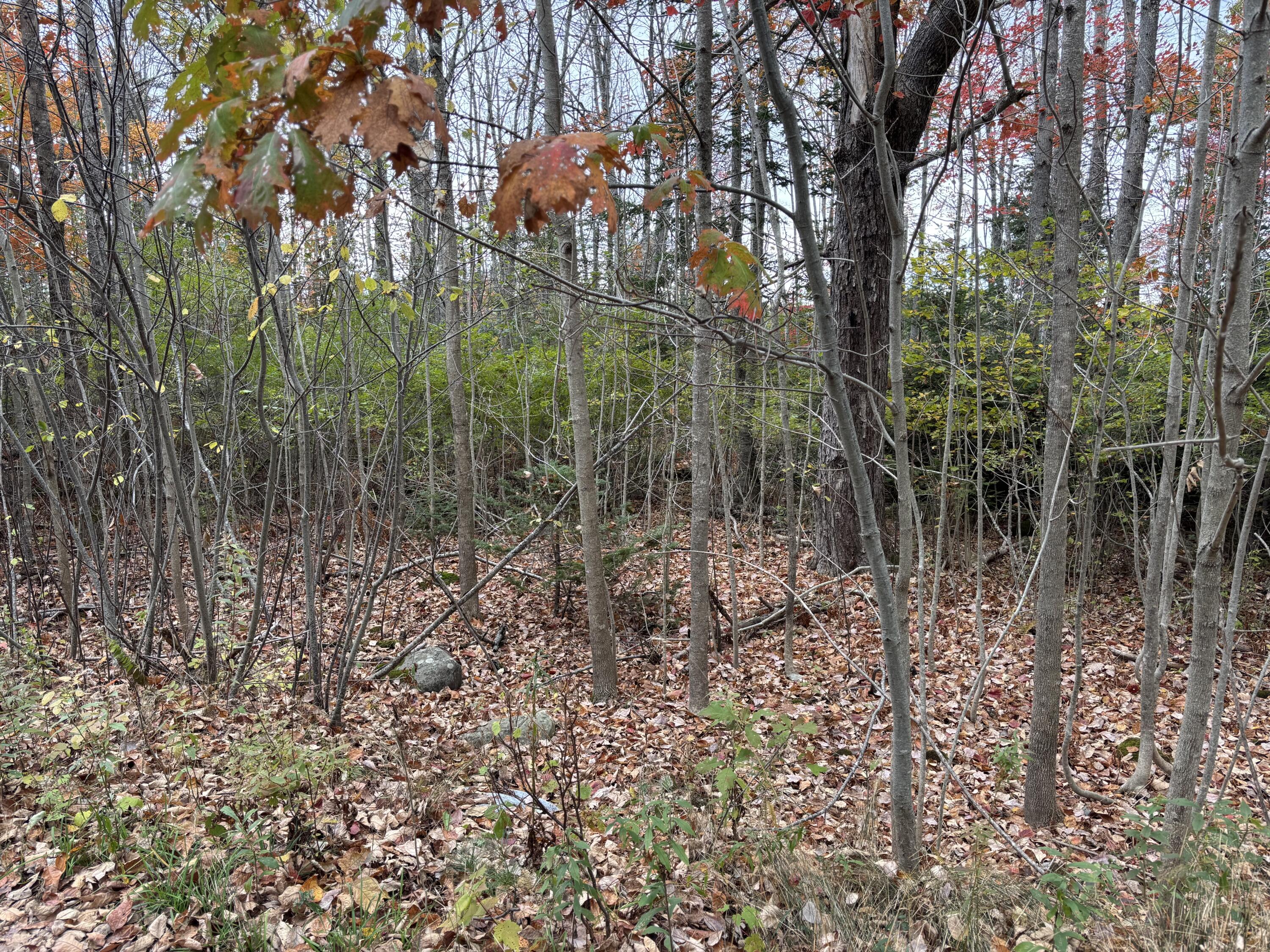 main property photo 13