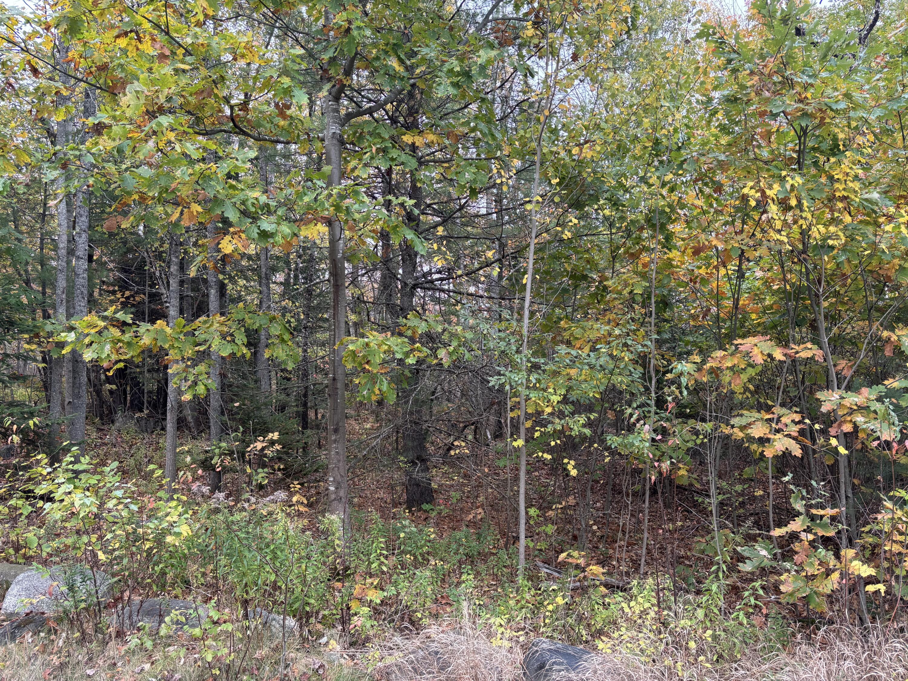 main property photo 15