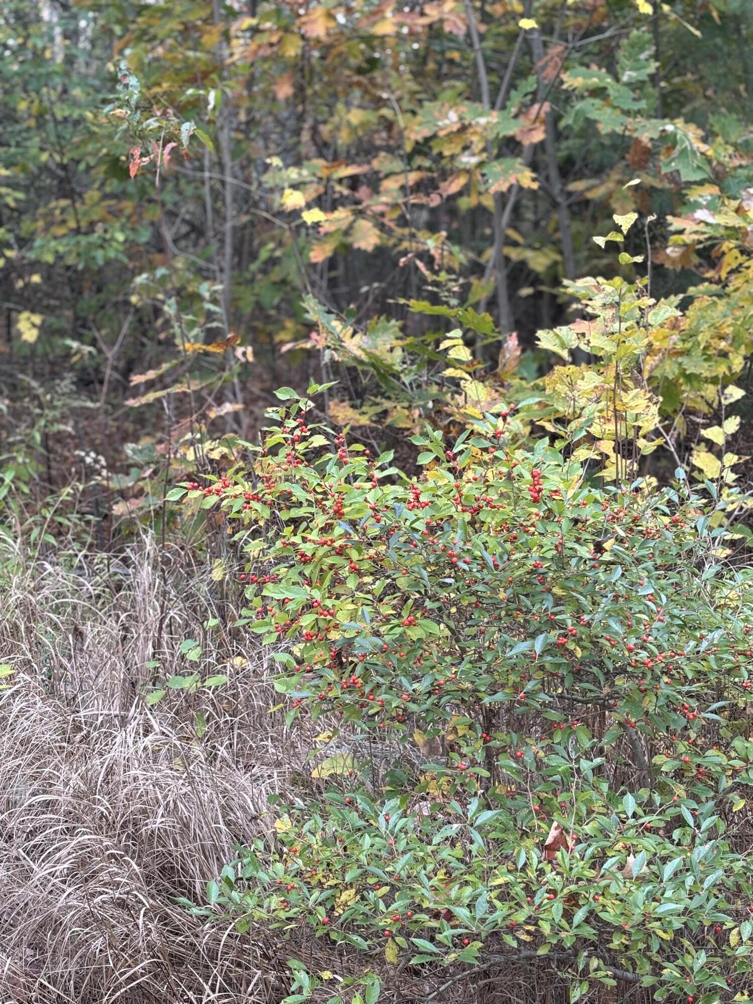 main property photo 16