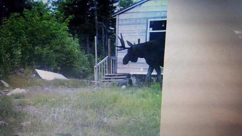 main property photo 22