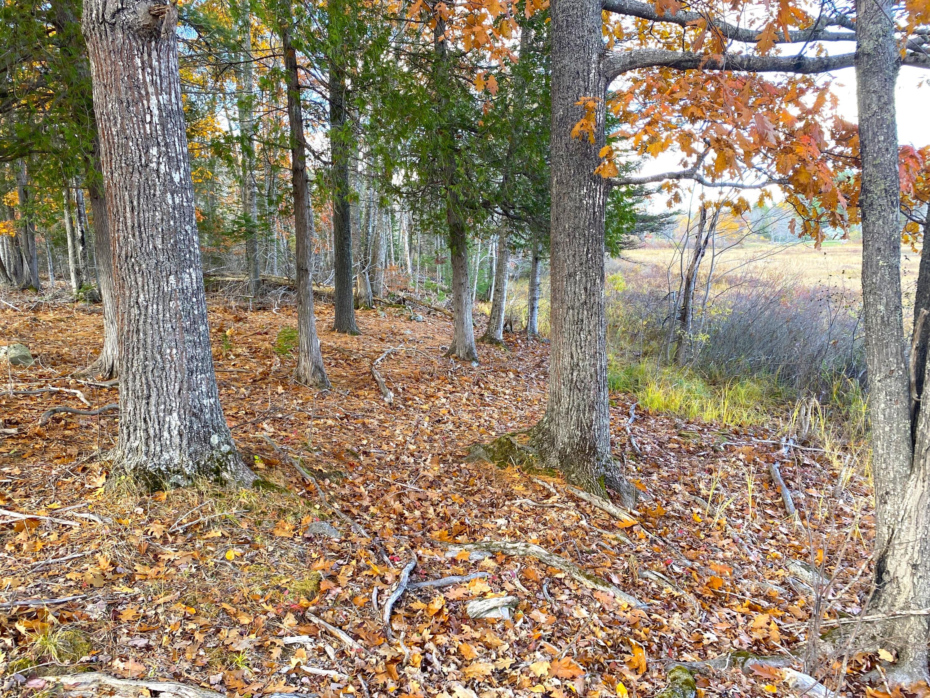 property viewer photo 1