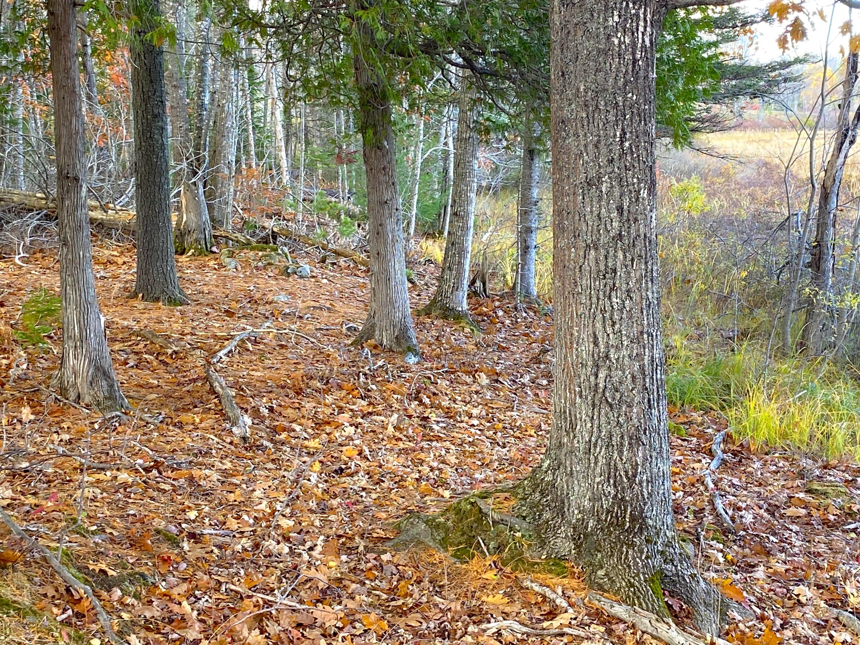 property viewer photo 15