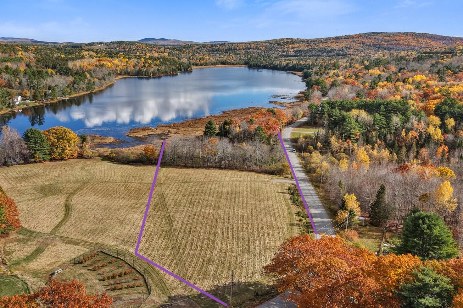 property viewer photo 4