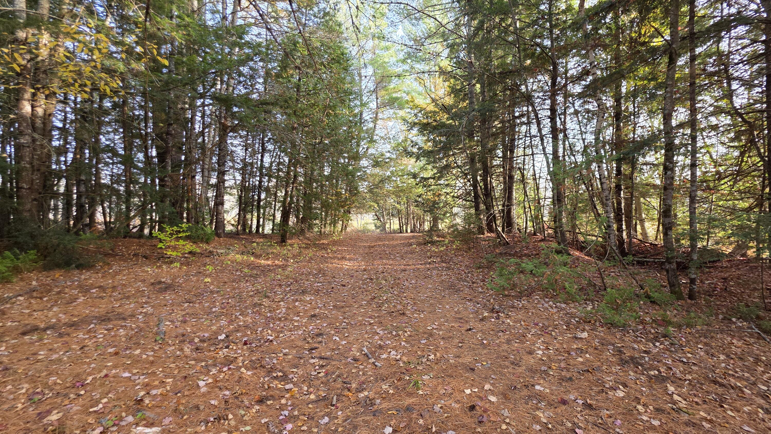 main property photo 39