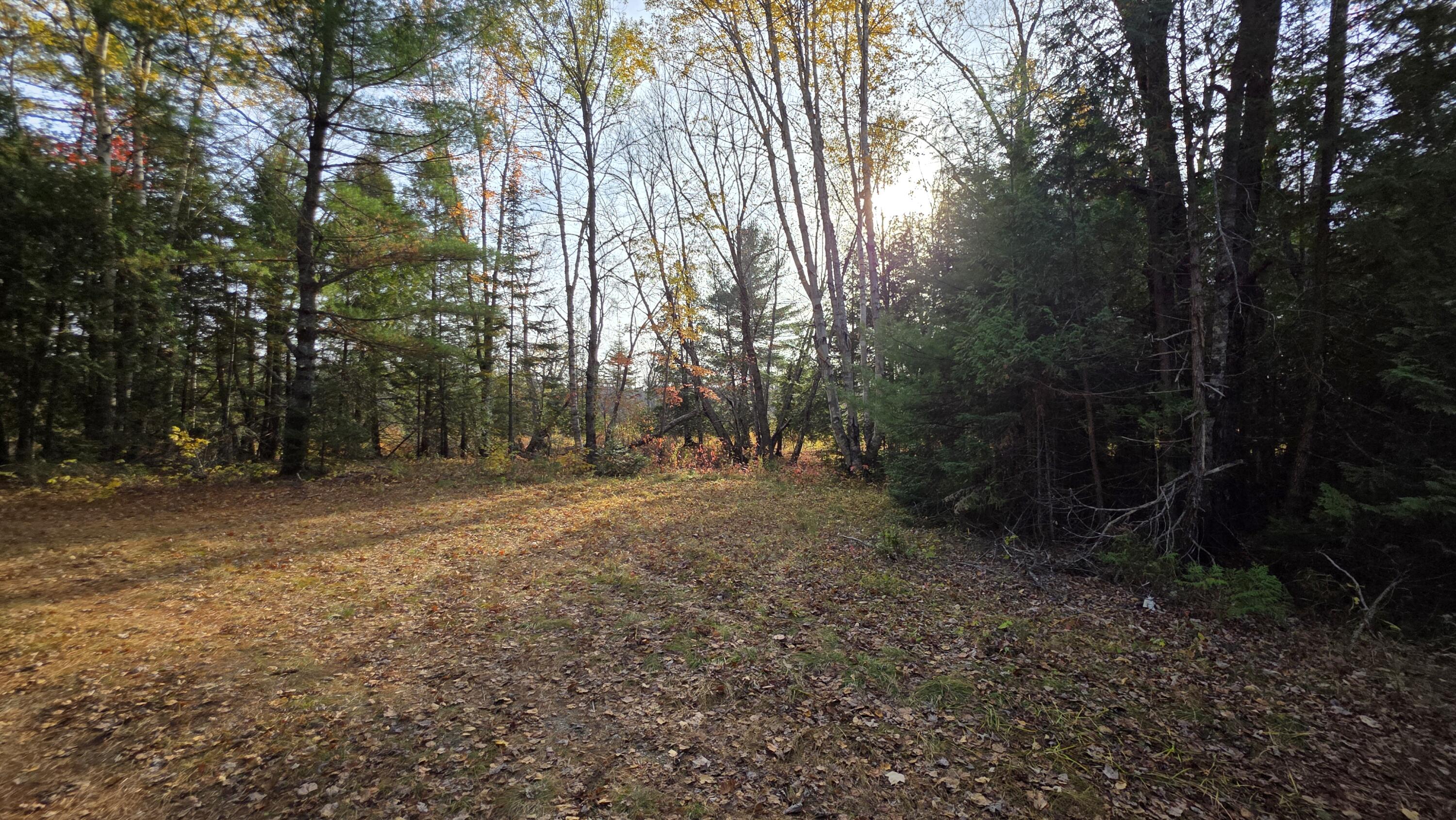 main property photo 40
