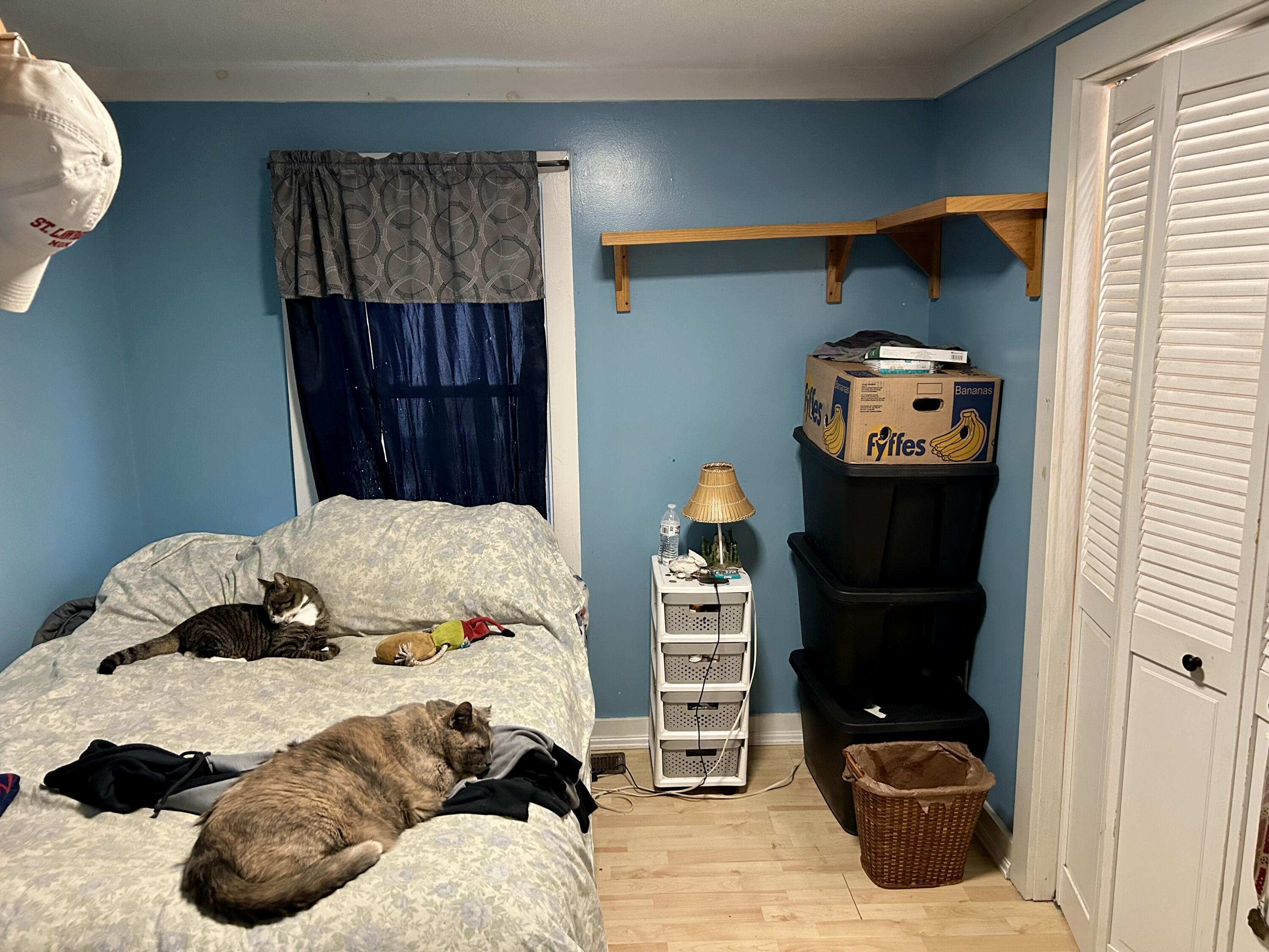 main property photo 23