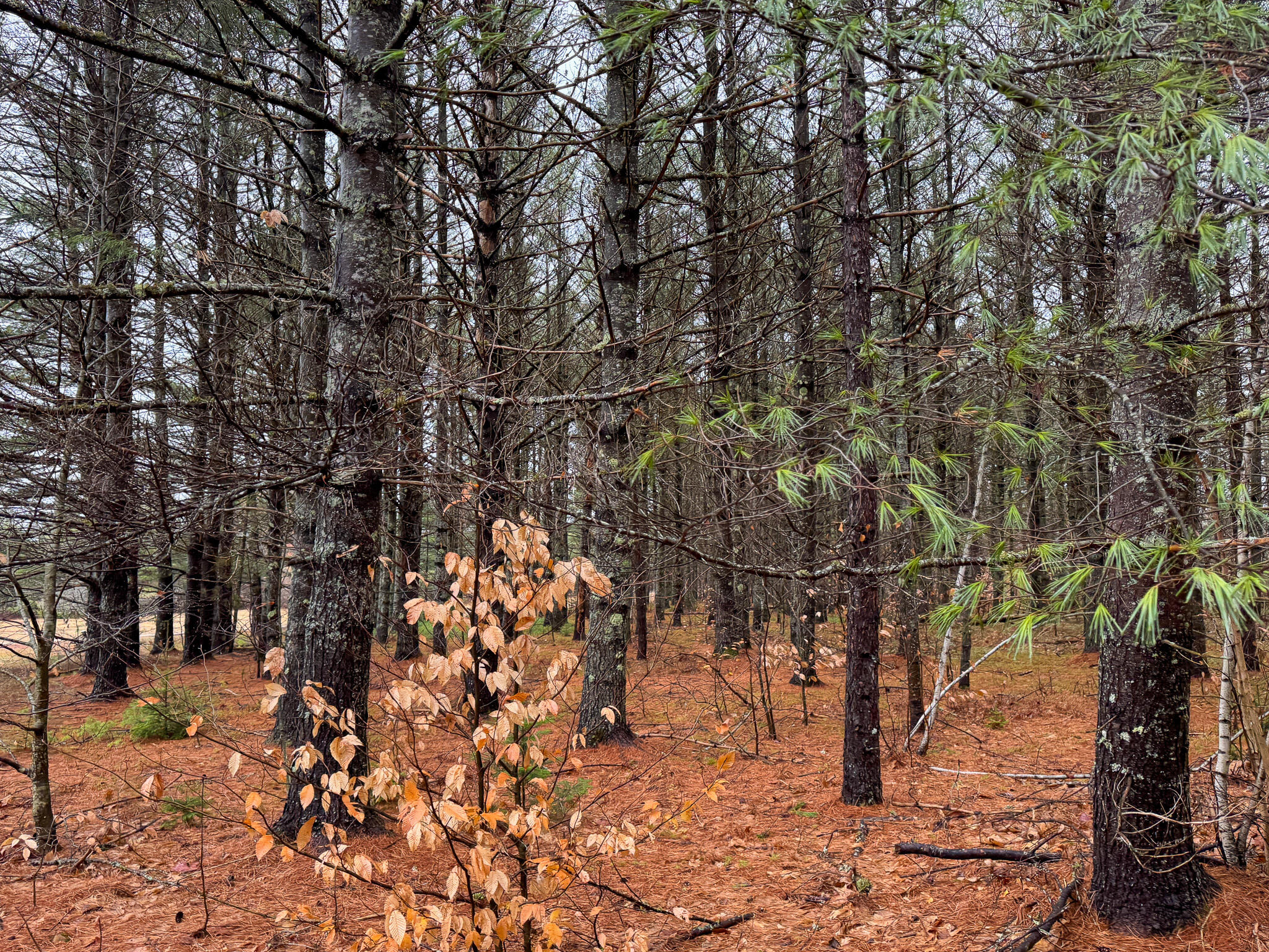 main property photo 44