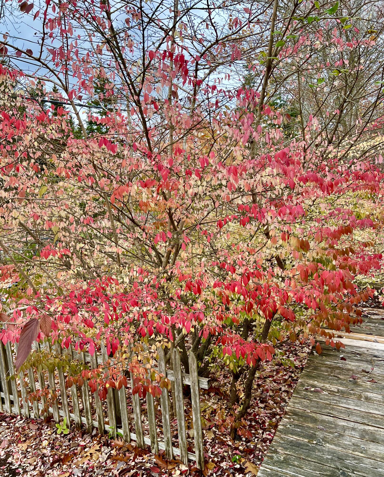 main property photo 58
