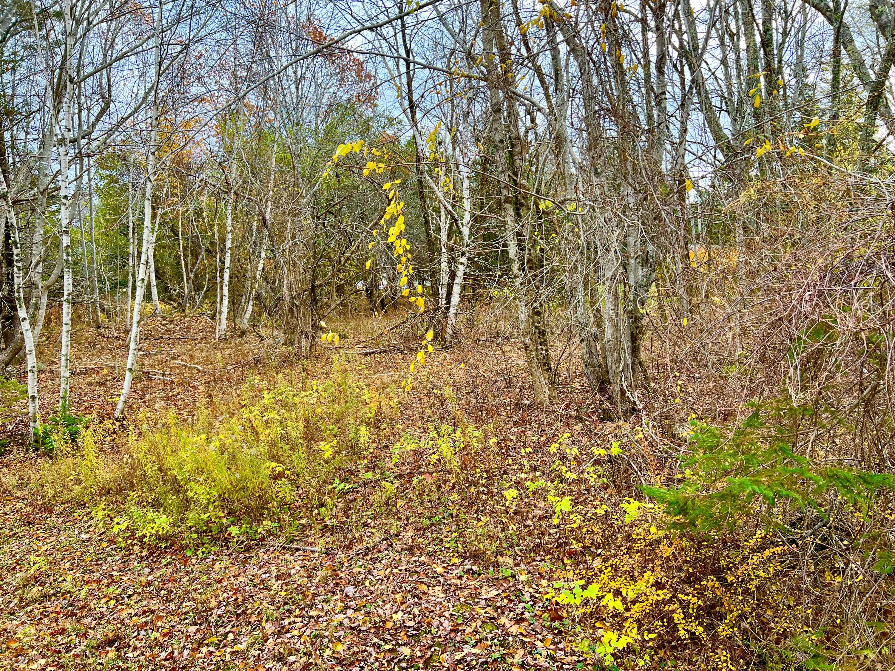 main property photo 59