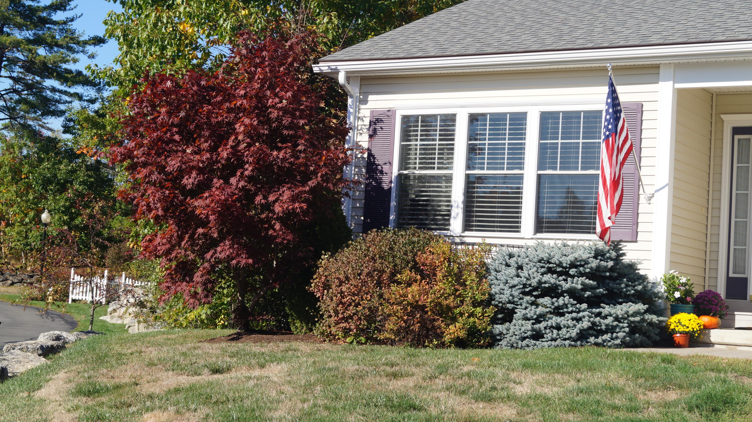 property viewer photo 58