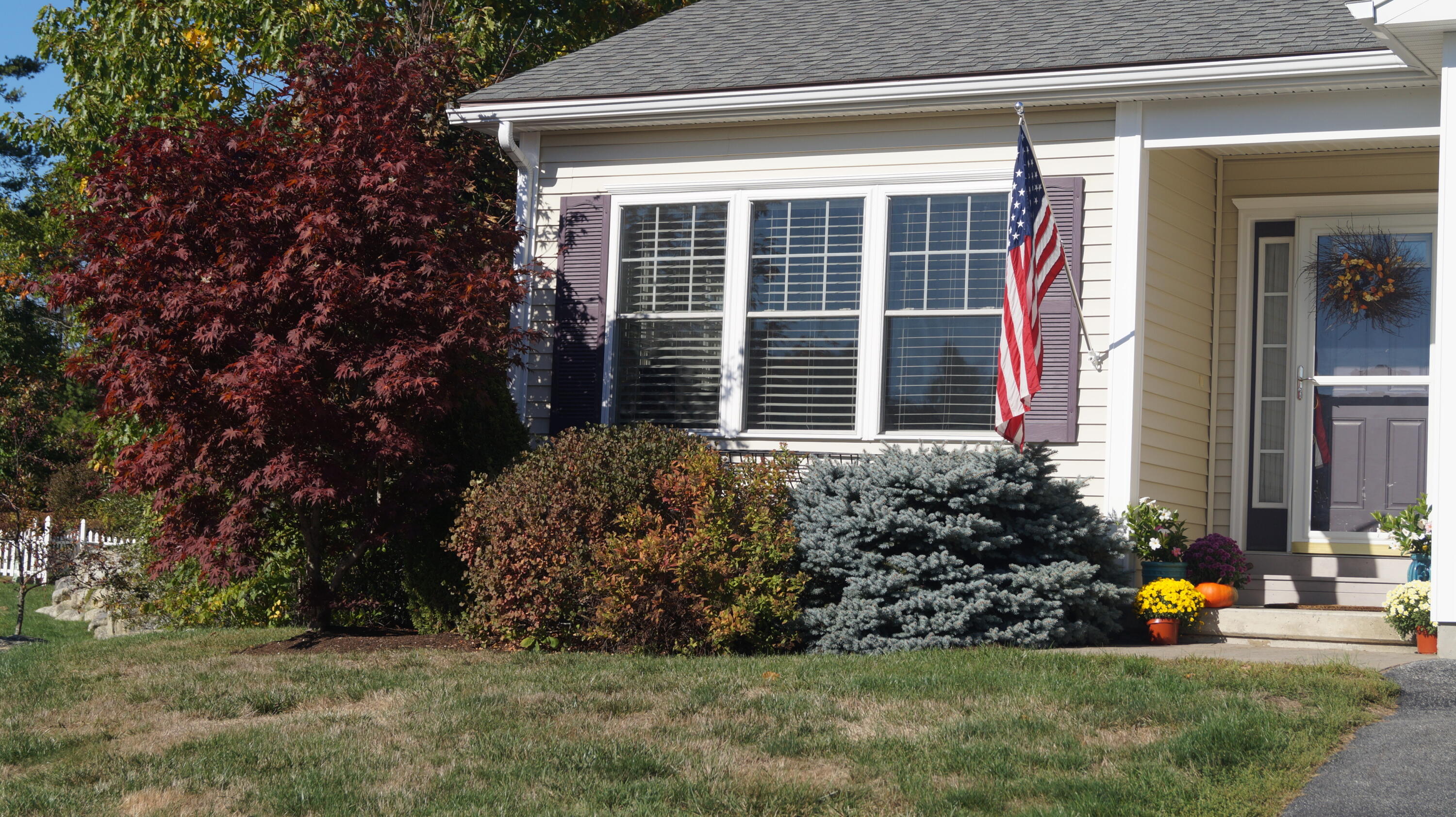 property viewer photo 6