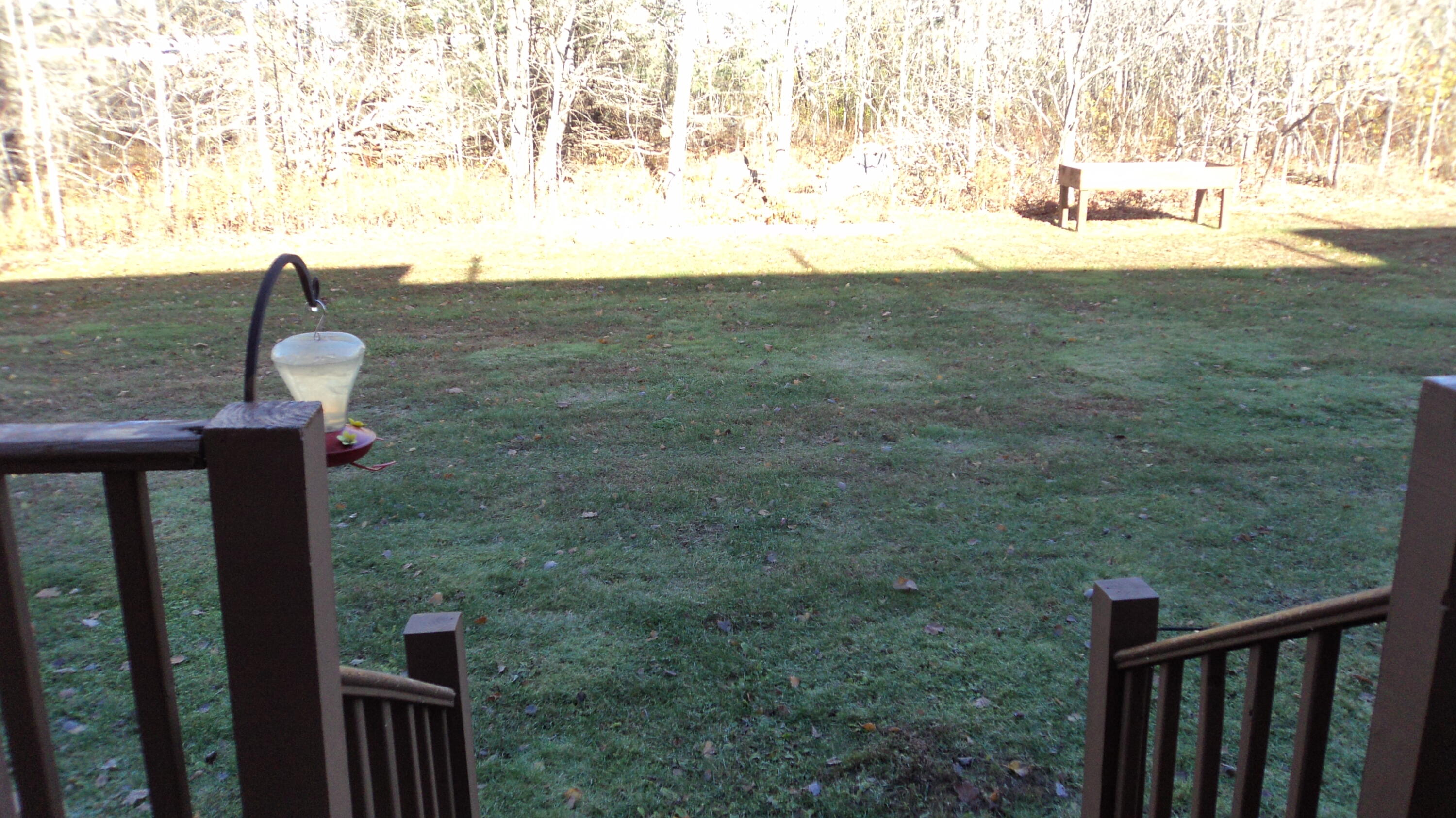 property viewer photo 21