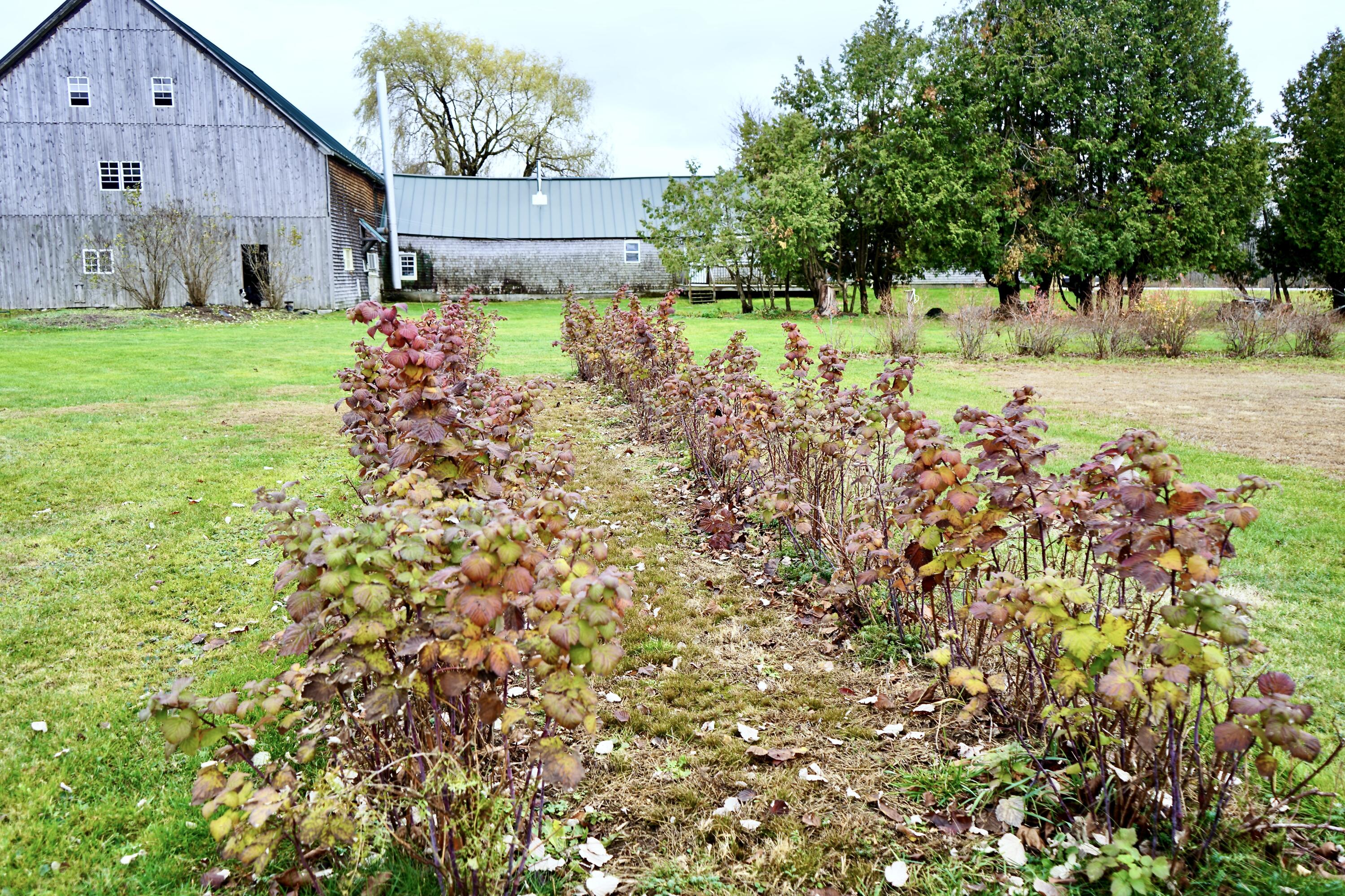 main property photo 58