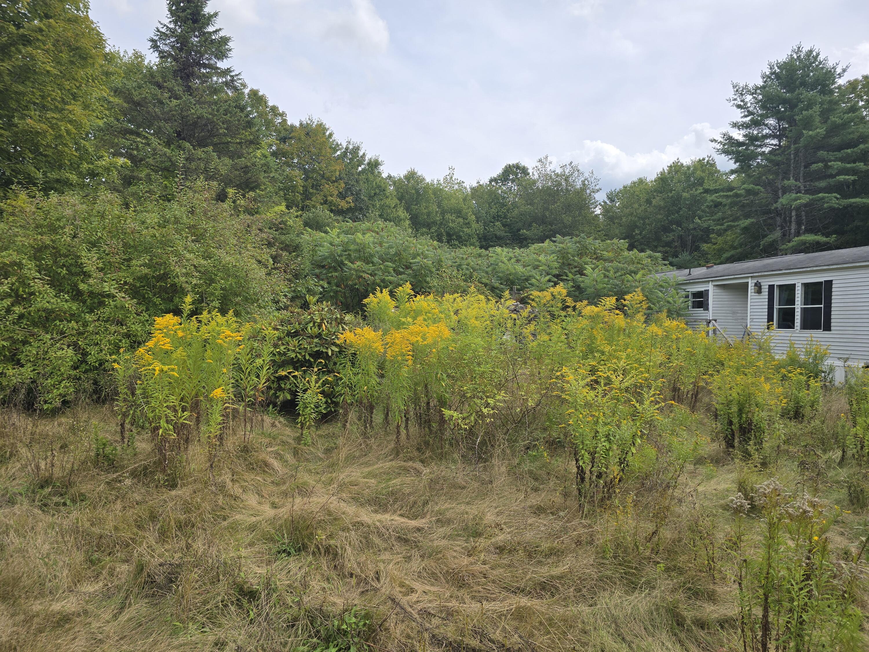 property viewer photo 4