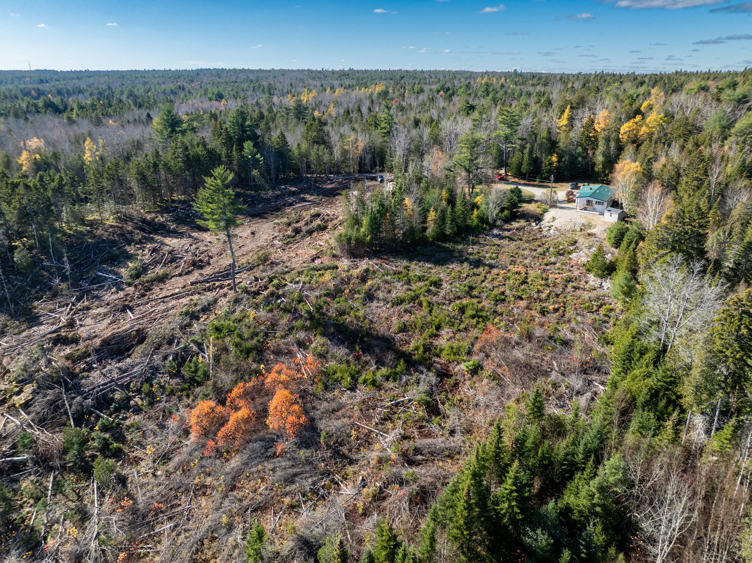 main property photo 13