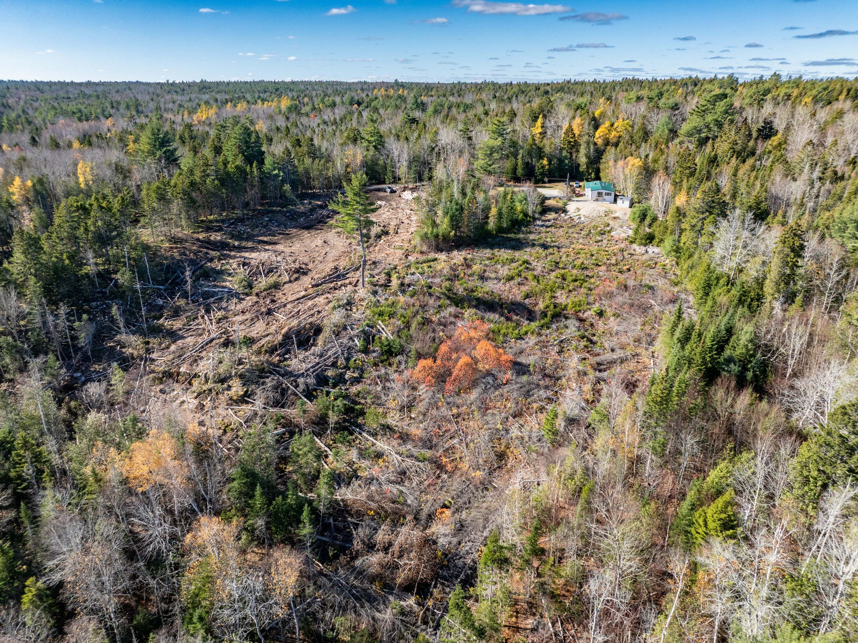 main property photo 14